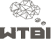 logo new 2020 wire grey