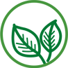 leaves icon