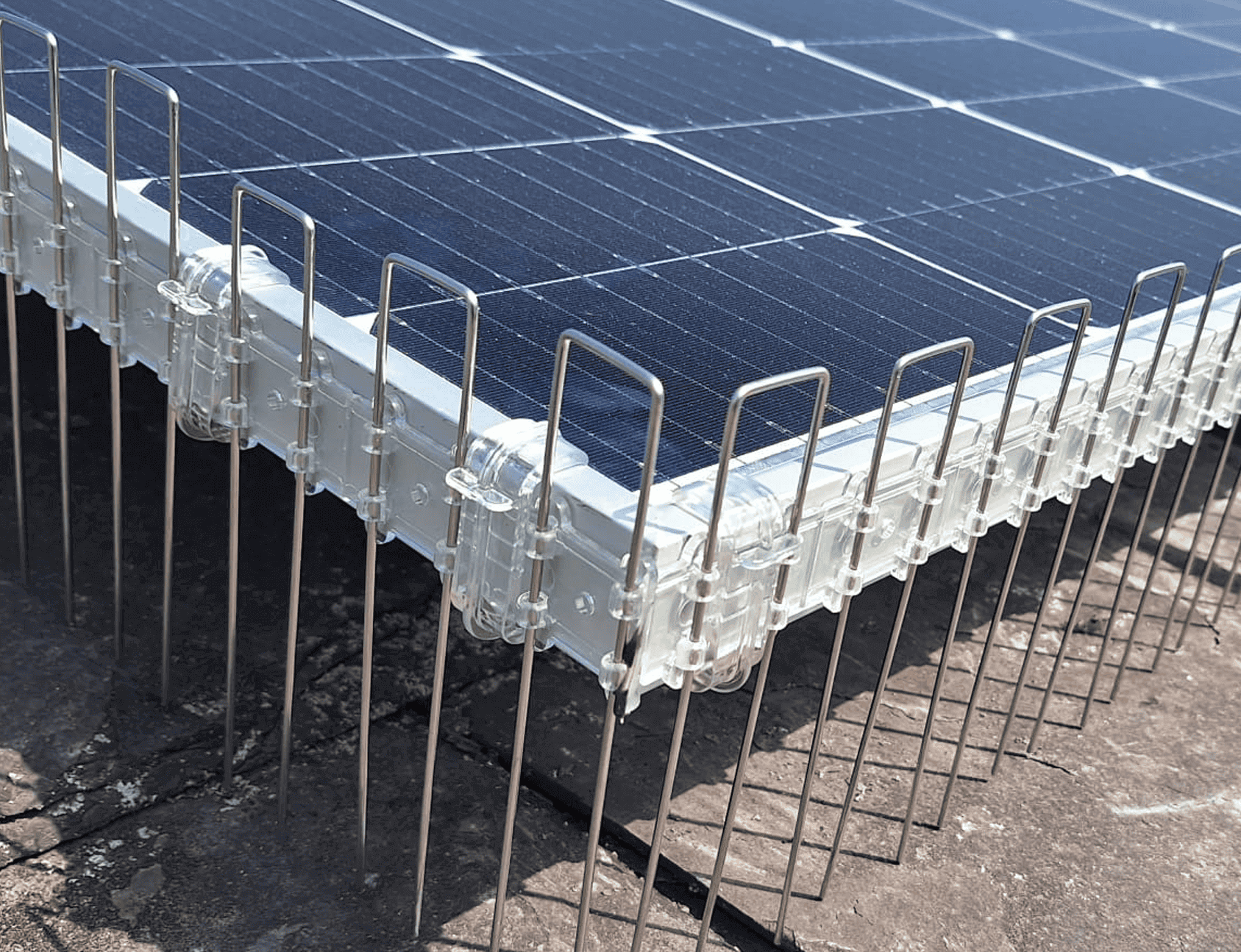 Eco Solar Case Study